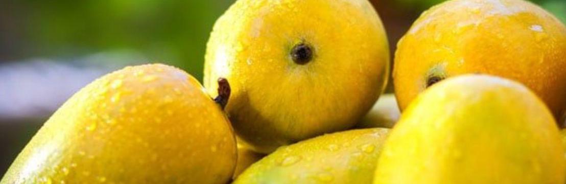 Fresh Mangoes Price In Pakistan