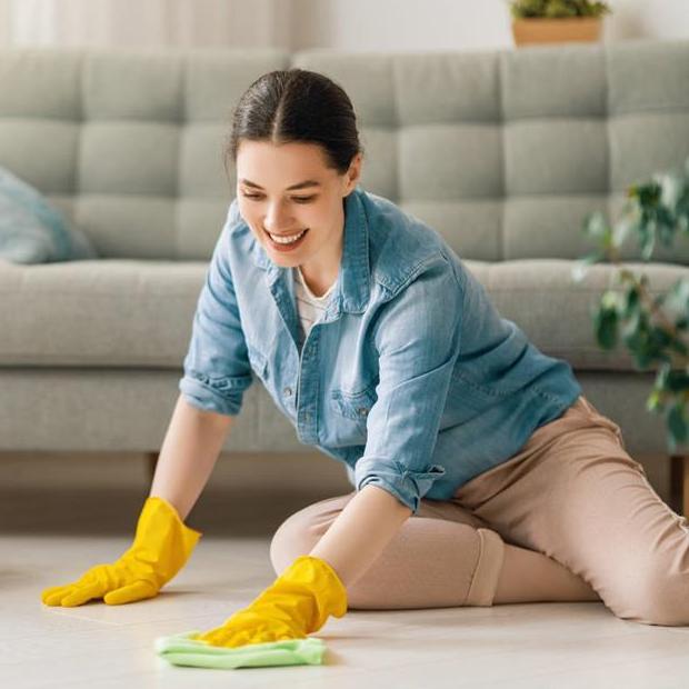 Cleaning Services Dip