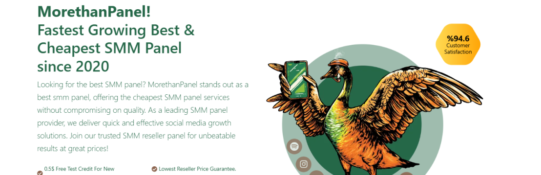 MoreThanPanel Cheapest SMM