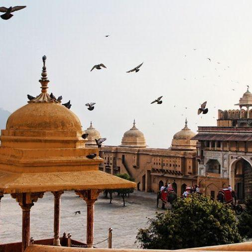 India Tour Packages