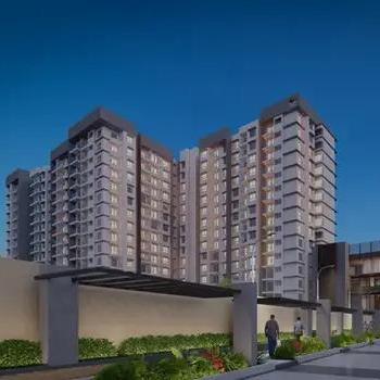 Prestige Evergreen