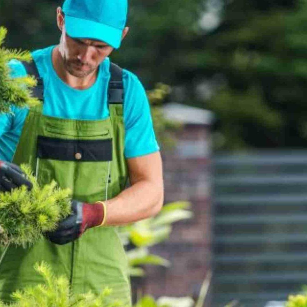 Arborist Huffman