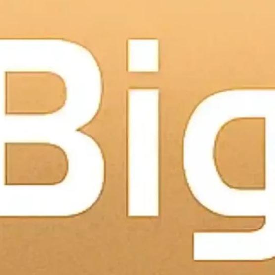 The Big Mumbai