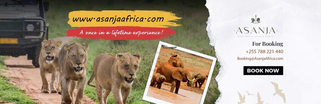 Asanja Africa