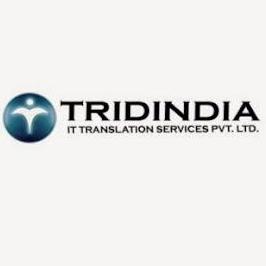 TridIndia Company