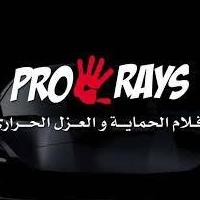 Pro Rays