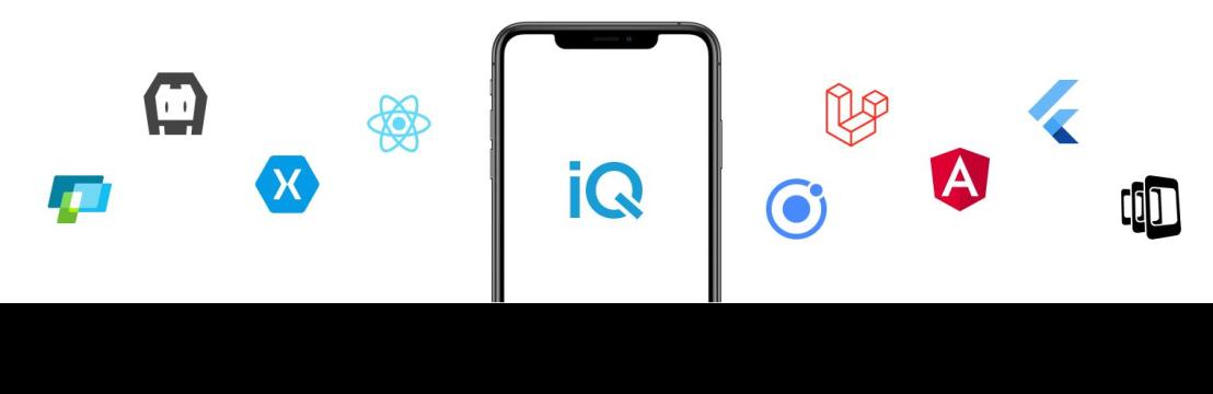 IQlance Solutions