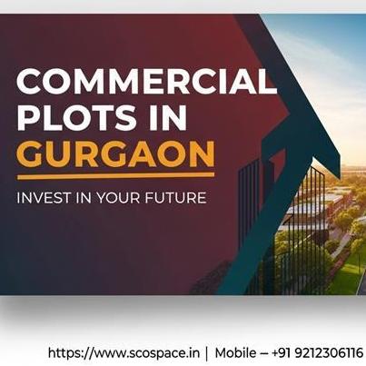 Indianproperty Options