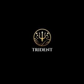 Trident Professional Cleaning Services