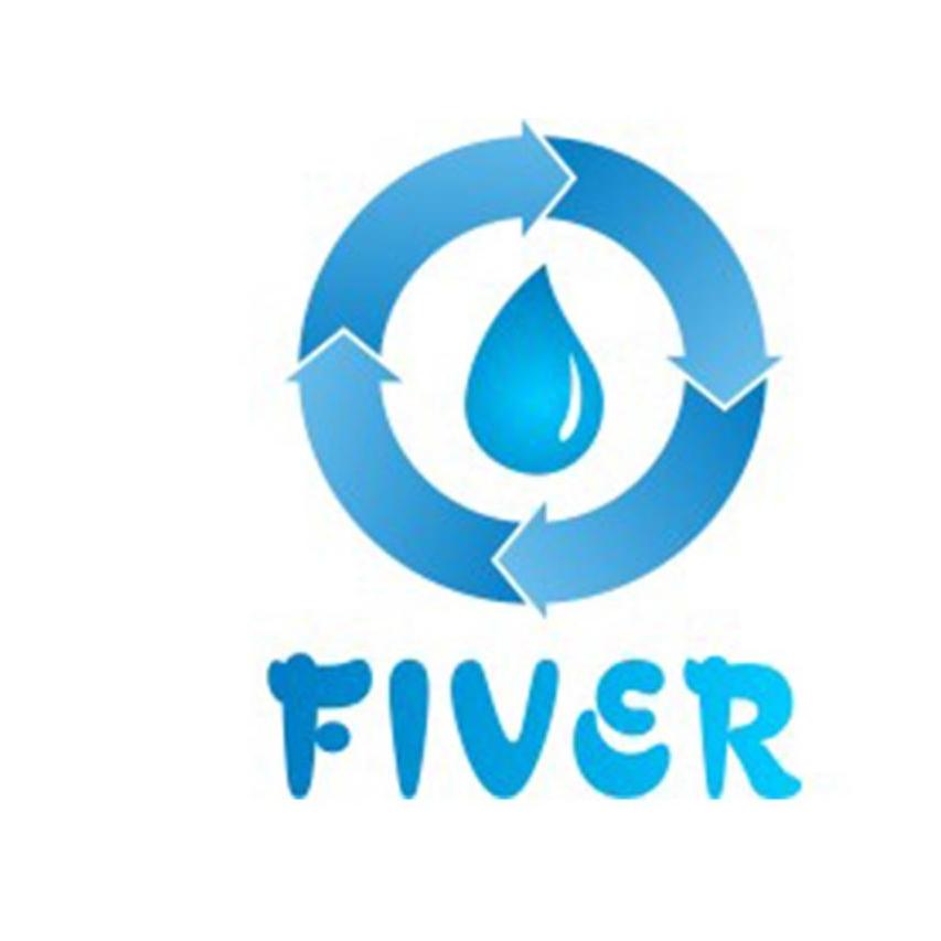 FIVER  ENVIRONMENT GROUP CO LTD